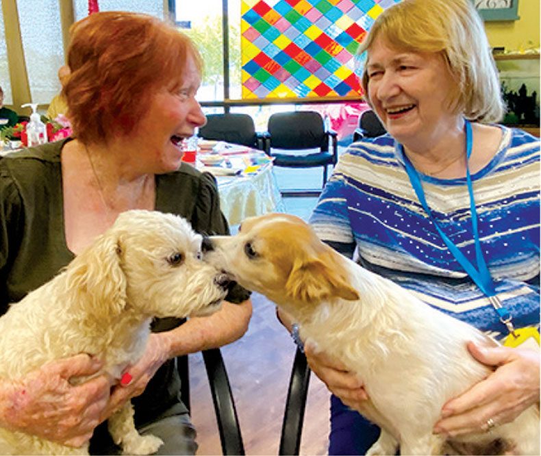 daycation guests with dogs