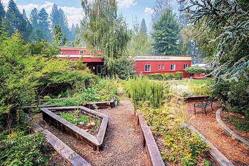 herb garden a california college of ayurveda