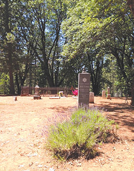 Green/natural burial cemetery